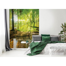 Eine Fototapete mit einer friedlichen Waldlandschaft und Sonnenlicht, geeignet für ein Schlafzimmer.