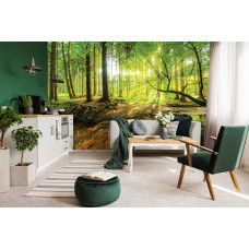 Eine Fototapete von einem sonnigen Wald mit strahlendem Licht, das durch die Bäume fällt, perfekt für das Wohnzimmer.