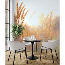 Fototapete Sonnige Graslandschaft am Morgen in der Küche mit warmem natürlichem Licht.
