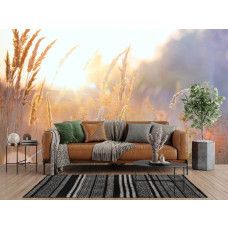 Fototapete Sonnige Graslandschaft am Morgen im Wohnzimmer mit viel Licht und Ruhe.