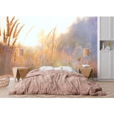 Fototapete Sonnige Graslandschaft am Morgen im Schlafzimmer mit sanfter und beruhigender Stimmung.