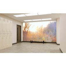 Fototapete Sonnige Graslandschaft am Morgen im Fitnessstudio mit frischer und motivierender Atmosphäre.