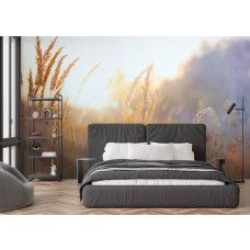 Fototapete Sonnige Graslandschaft am Morgen im Schlafzimmer mit entspannendem Naturblick.