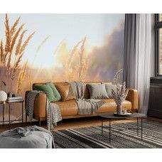 Fototapete Sonnige Graslandschaft am Morgen im Wohnzimmer mit goldenem Sonnenlicht.