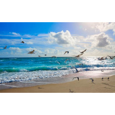 Fototapete mit sonnigen Wellen, die an den Strand schlagen, mit Möwen, die in der Luft über dem Meer schweben.
