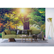 Ein Wohnzimmer mit einer Fototapete mit einem sonnenbeschienenen Park am Morgen mit einem schönen Baum.