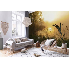 Fototapete Sonnenuntergang über dem nebligen See