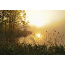 Fototapete mit einem Sonnenuntergang über einem nebligen See, mit einer beruhigenden Ausstrahlung.