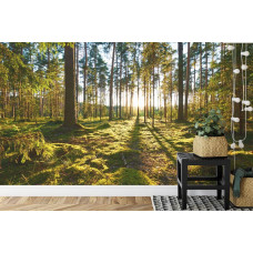 Eine Fototapete mit einem beruhigenden Bild eines Waldes mit Sonnenlicht in einer Küche.