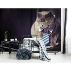 Eine Fototapete mit einer schwarzen Katze im Geschäftsanzug für das Kinderzimmer.