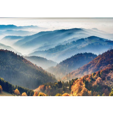 Fototapete des Schwarzwaldes, wo Berge und Wälder eine üppige und beeindruckende Landschaft bilden.