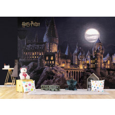 Ein Fototapete mit Hogwarts bei Vollmond im Kinderzimmer, bei dem die magische Ausstrahlung des Schlosses und die funkelnden Sterne eine verträumte und abenteuerliche Atmosphäre erzeugen.