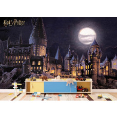 Ein Fototapete mit Hogwarts bei Vollmond im Kinderzimmer, bei dem die geheimnisvolle Nachtlandschaft und die kraftvollen Mondlichtreflexionen eine coole und magische Atmosphäre bringen.