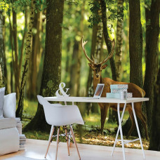 Eine Fototapete von einem Hirsch im Wald mit Bäumen und ein Rentier auf dem Display in einem Büro.