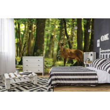 Eine Fototapete von einem Hirsch im Wald mit Bäumen und ein Rentier auf dem Display im Schlafzimmer.