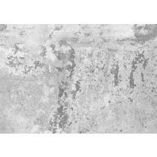 Märchenbaum-Fototapete, bezaubernd und märchenhaft.