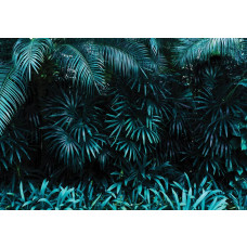 Dschungelblätter Fototapete, perfekt für Dschungelzimmer.