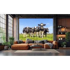 Kuh Tapete mit neugierigen Kühen unter blauem Himmel im modernen Wohnzimmer.