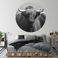 Wandkreis mit schottischem Highlander für das Schlafzimmer.