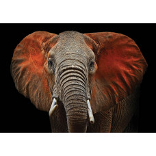 Rost auf einer Betonwand mit Industriemotiv auf Fototapete.