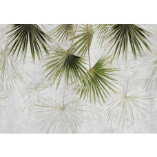 Fototapete mit exotischen Pflanzen auf Beton, mit einem Dschungel- und Industriemix.