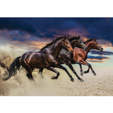 Fototapete mit laufenden Pferden, dynamisch und kraftvoll.