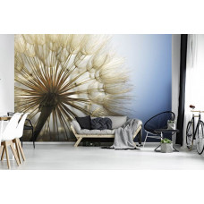 Eine Nahaufnahme-Fototapete eines Löwenzahns in der Natur, gesehen im Wohnzimmer.