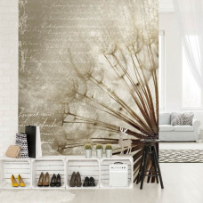 Fototapete Löwenzahn im Wohnzimmer.