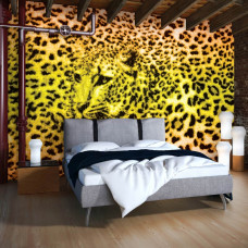 Eine Pantherdrucktapete mit Gepard und Gepard für das Schlafzimmer.