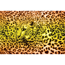 Pantherdrucktapete mit Gepard und Gepard, exotisch und kraftvoll.