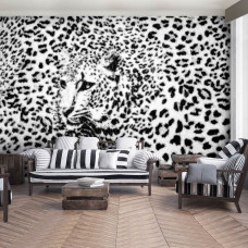 Eine Fototapete mit Pantherdruck mit Gepard, Leopard und Gepard für das Wohnzimmer.