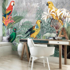 Eine Fototapete mit Dschungel-Papageien für das Büro.
