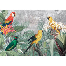 Papageien Dschungel-Fototapete, farbenfroh und naturgetreu.