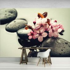 eine Spa-Fototapete mit Wellness-Thema, Sauna, Steinen und Blumen für das Büro.