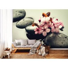 eine Spa-Fototapete mit Wellness-Thema, Sauna, Steinen und Blumen für das Wohnzimmer.