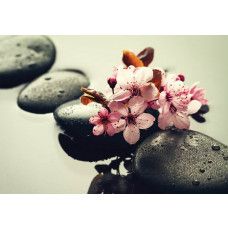 eine Spa-Fototapete mit Wellness-Atmosphäre, Sauna-Elementen, Steinen und Blumen für einen entspannenden Look.