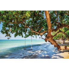 Fototapete Strand mit einer Baumschaukel am Meer, beruhigende Ansicht.