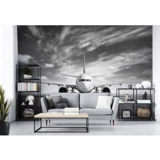 Eine Schwarz-Weiß-Fototapete eines Flugzeugs für das Wohnzimmer.