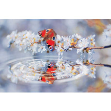 Schmetterlingsreflexion Fototapete, mit einer natürlichen Darstellung von Schmetterlingen und Blumen über Wasser.