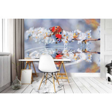 Eine Fototapete mit einem Schmetterling, der sich im Wasser spiegelt, umgeben von Blumen, die eine magische und natürliche Atmosphäre schafft. Dieses Design bringt einen natürlichen und eleganten Touch ins Büro.