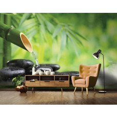 Eine Wellness-Fototapete mit einem Spa und Sauna und heißen Steinen im Wohnzimmer gesehen.