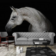 Fototapete mit einem weißen Pferd für das Wohnzimmer.