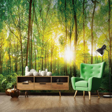 Eine Fototapete mit einem sonnigen Wald und Sonnenstrahlen, die durch die Bäume scheinen, zu sehen im Wohnraum.