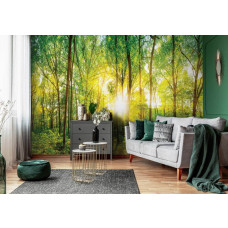 Eine Fototapete mit einem sonnigen Wald und Sonnenstrahlen, die durch die Bäume scheinen, zu sehen im Wohnzimmer.