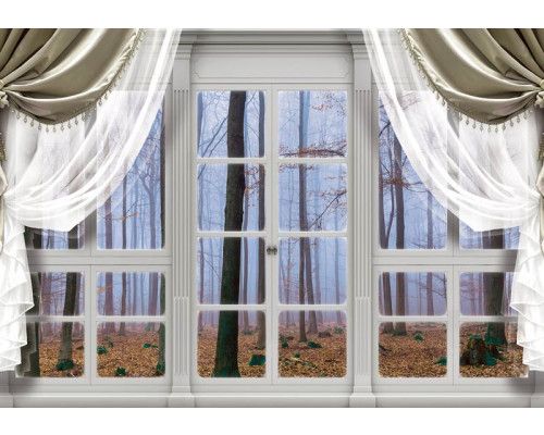 3D-Fototapete mit Blick auf einen herbstlichen Wald und Bäume, gesehen durch ein Fenster.