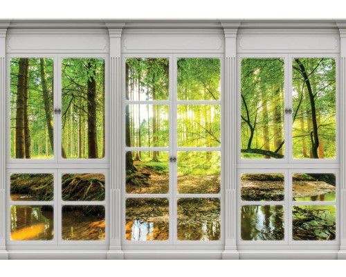 Sonniger Wald mit Bäumen und Sonnenstrahlen, eingefangen auf einer Fototapete in 3D-Perspektive.