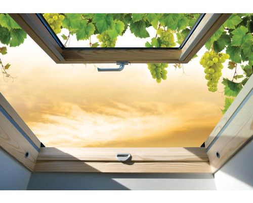 3D-Fototapete mit einer Fensteransicht von Weinreben, mit Tiefenwirkung.