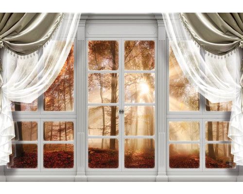 Fototapete mit Blick auf einen Herbstwald mit Bäumen und 3D-Effekten durch ein Fenster.