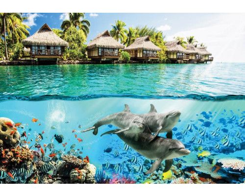 Delfine umgeben von bunten Fischen in der hawaiianischen Unterwasserwelt, subtil gerendert auf einer realistischen Fototapete.