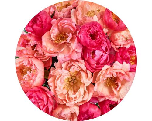 Blumenmeer mit bunten Rosen auf einem Wandkreis.